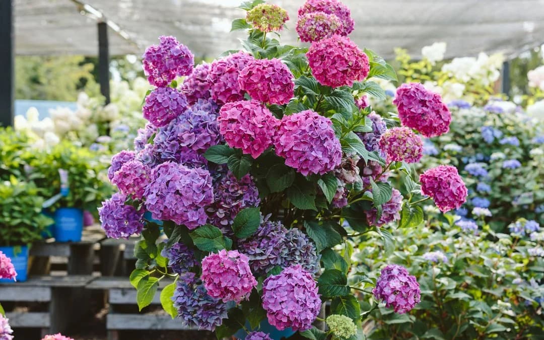 Cover Image for Vancouver Cloud Computing Trends 2026