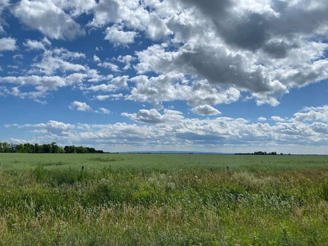 Canada's Cloud Landscape Reshapes Where AI Workloads Run