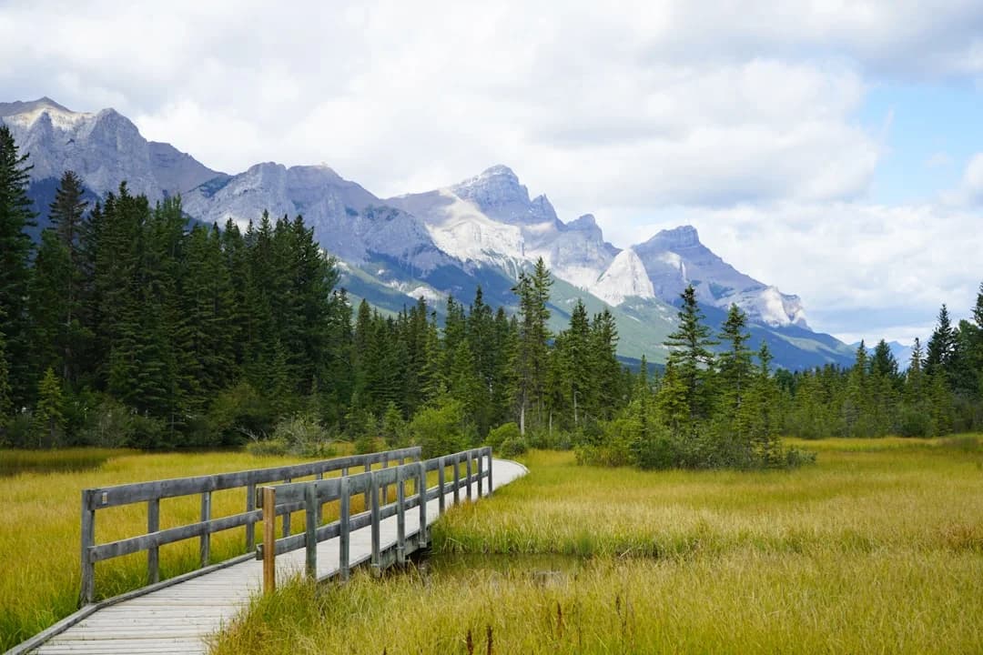 AI-Powered Biodiversity Monitoring Expands in Canadian Cities